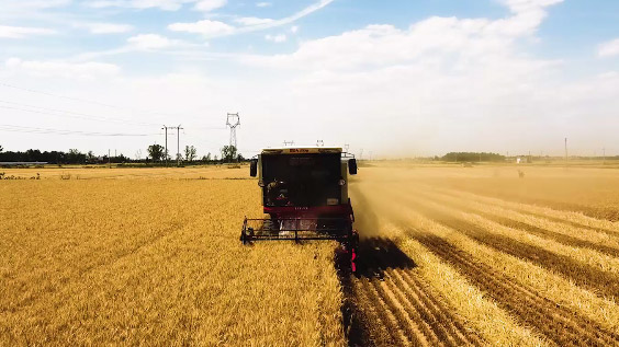 雷沃谷神GE80S-H小麦机河南收割小麦